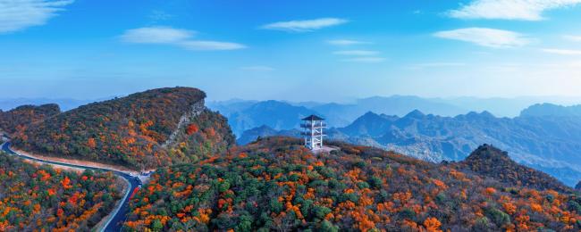 红色旺苍，中国茶乡