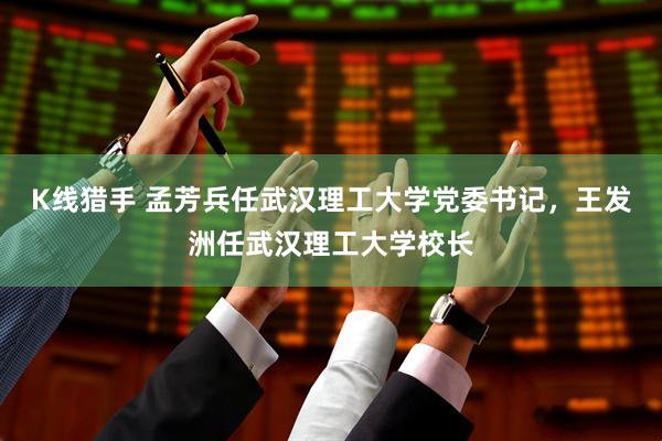 K线猎手 孟芳兵任武汉理工大学党委书记，王发洲任武汉理工大学校长