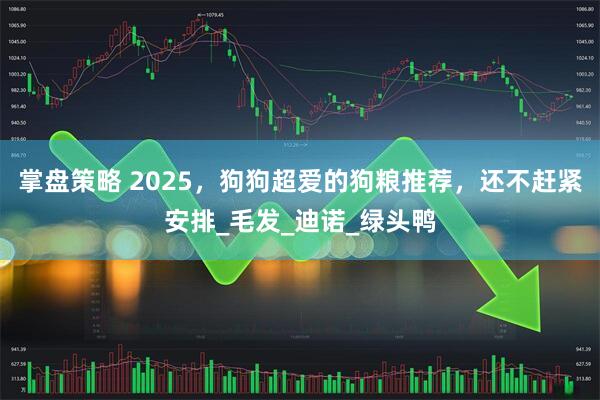 掌盘策略 2025，狗狗超爱的狗粮推荐，还不赶紧安排_毛发_迪诺_绿头鸭