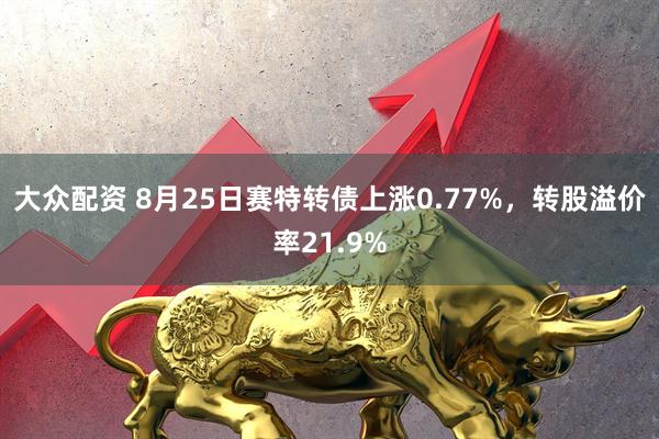 大众配资 8月25日赛特转债上涨0.77%，转股溢价率21.9%